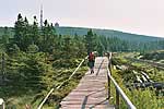 Goetheweg zum Brocken Goetheweg zum Brocken