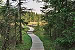 Bohlensteg &uuml;ber das Gro&szlig;e Torfhausmoor am Goetheweg auf dem Weg zum Brocken